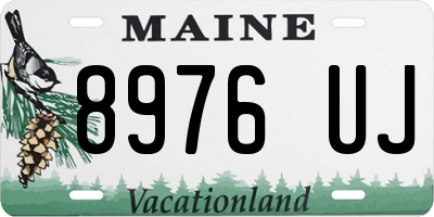 ME license plate 8976UJ