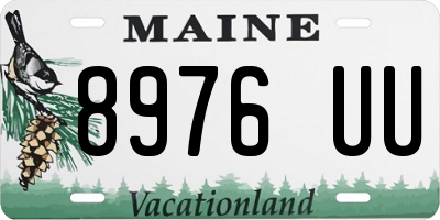 ME license plate 8976UU