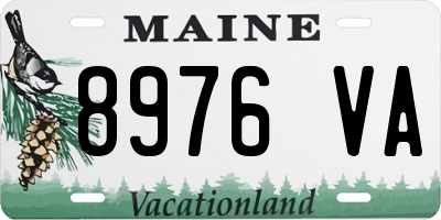 ME license plate 8976VA