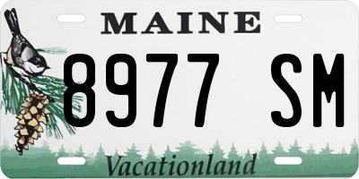 ME license plate 8977SM