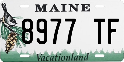 ME license plate 8977TF