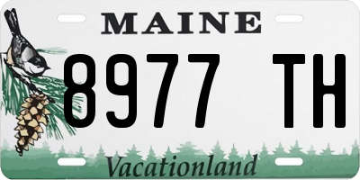 ME license plate 8977TH