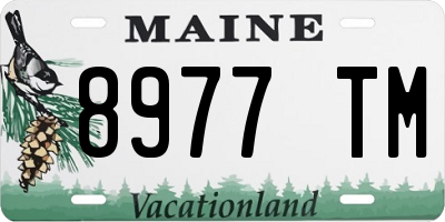 ME license plate 8977TM