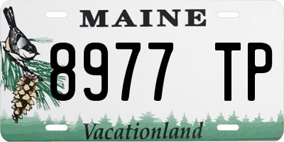 ME license plate 8977TP