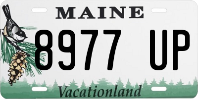 ME license plate 8977UP