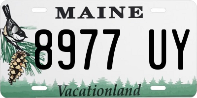 ME license plate 8977UY