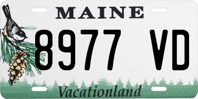 ME license plate 8977VD