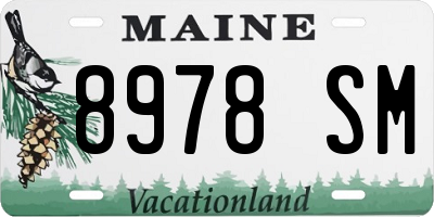 ME license plate 8978SM