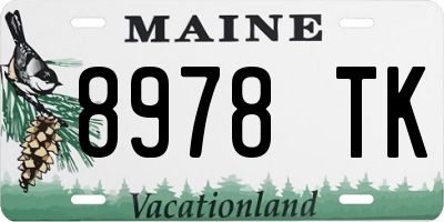 ME license plate 8978TK