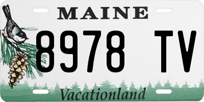 ME license plate 8978TV