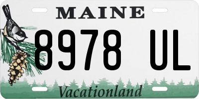 ME license plate 8978UL