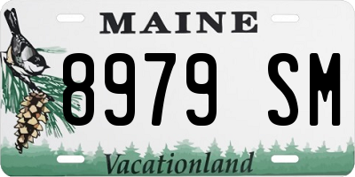 ME license plate 8979SM