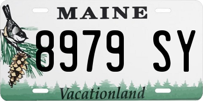 ME license plate 8979SY