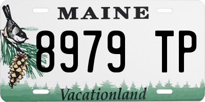 ME license plate 8979TP
