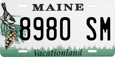ME license plate 8980SM
