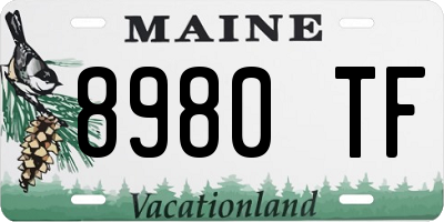 ME license plate 8980TF