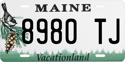 ME license plate 8980TJ