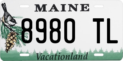 ME license plate 8980TL