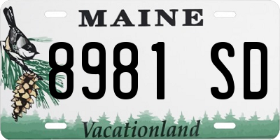 ME license plate 8981SD