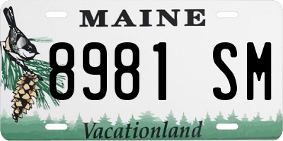 ME license plate 8981SM