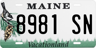 ME license plate 8981SN