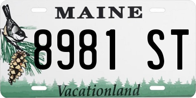 ME license plate 8981ST
