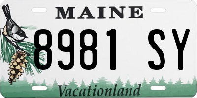 ME license plate 8981SY