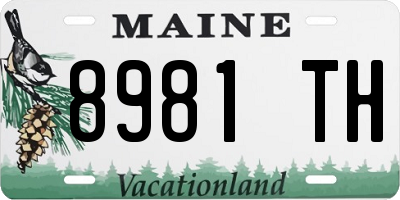 ME license plate 8981TH