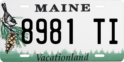 ME license plate 8981TI