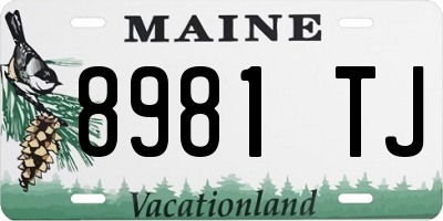 ME license plate 8981TJ
