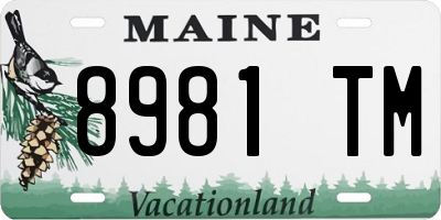 ME license plate 8981TM