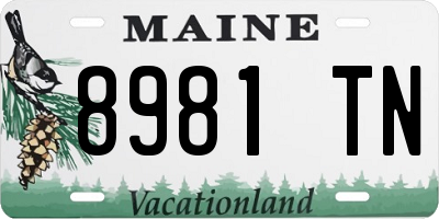 ME license plate 8981TN