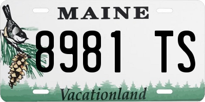ME license plate 8981TS