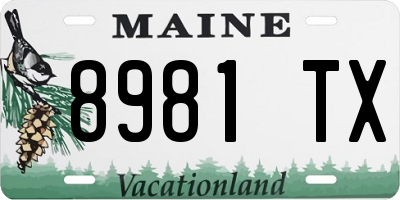 ME license plate 8981TX
