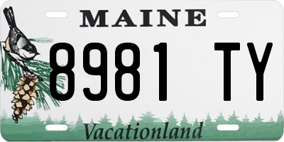 ME license plate 8981TY