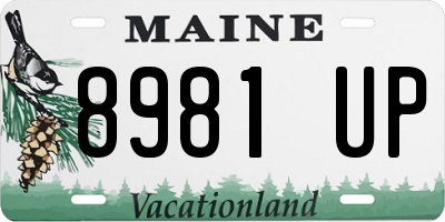 ME license plate 8981UP