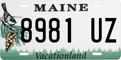 ME license plate 8981UZ