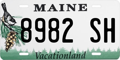 ME license plate 8982SH