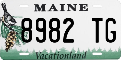 ME license plate 8982TG