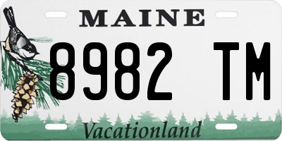 ME license plate 8982TM