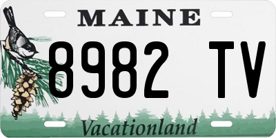 ME license plate 8982TV