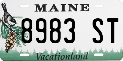 ME license plate 8983ST