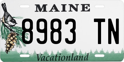 ME license plate 8983TN