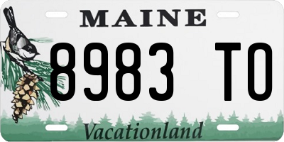 ME license plate 8983TO