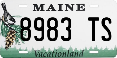 ME license plate 8983TS