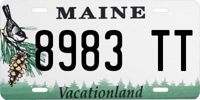 ME license plate 8983TT