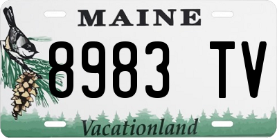 ME license plate 8983TV