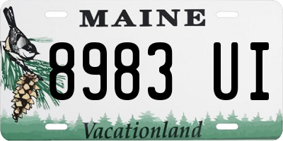 ME license plate 8983UI