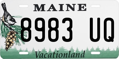 ME license plate 8983UQ