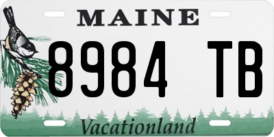ME license plate 8984TB